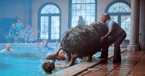 Chiropractic: The True Rejuvenating Cocoon Approach