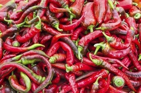 Herbal Treatment for Neuropathy