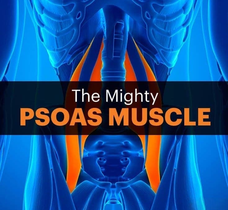 A Weak Psoas Muscle Could Be The Basis For Back Pain