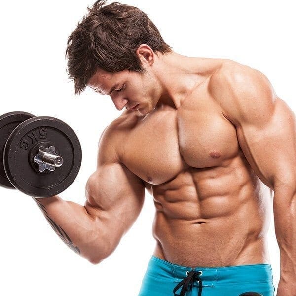 How You Can Build Muscle Fast