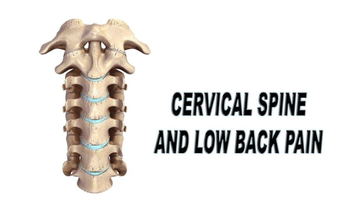 Cervical Spine & Low Back Pain