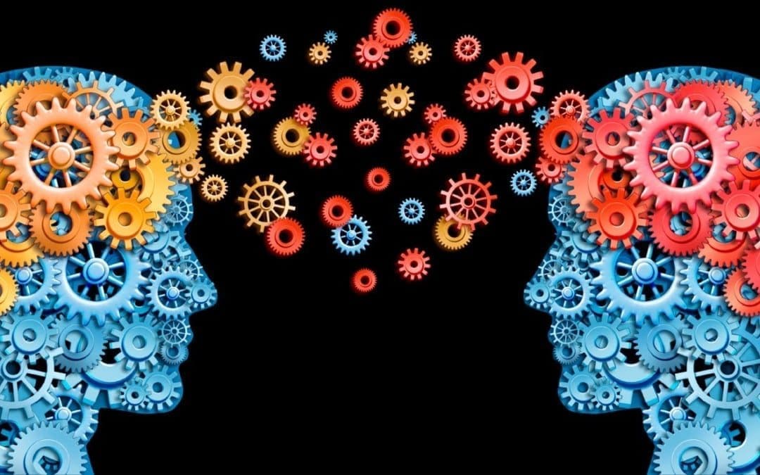 Biocentrism and How it Applies to Health Care | Biocentric Chiropractic