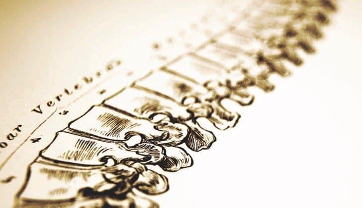 The American Chiropractic Care History | Eastside Chiropractic