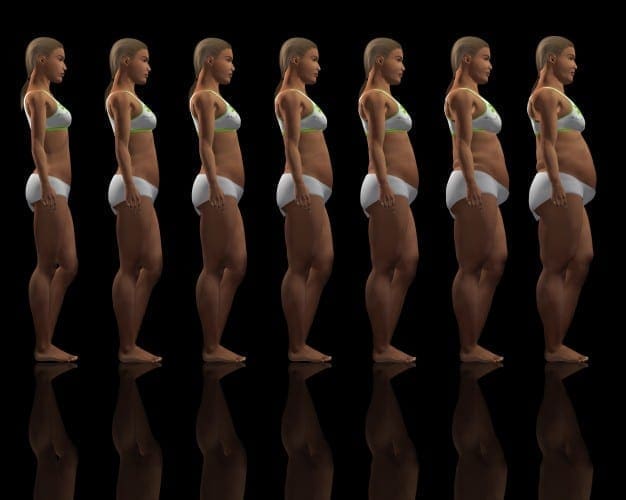 Body Composition Evaluation: A Clinical Practice Tool