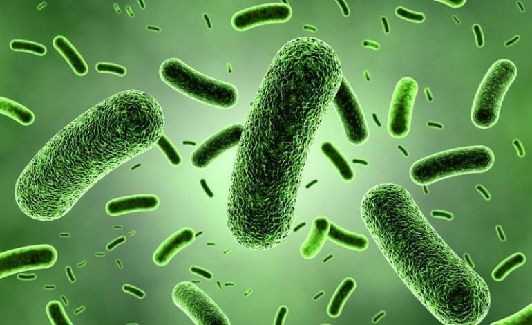 Autoimmune Thyroid Diseases Associated with Infections | Wellness Clinic