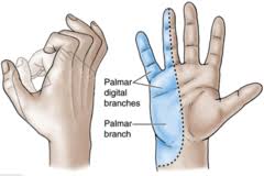 Klumpke's Paralysis Image | El Paso, TX Chiropractor