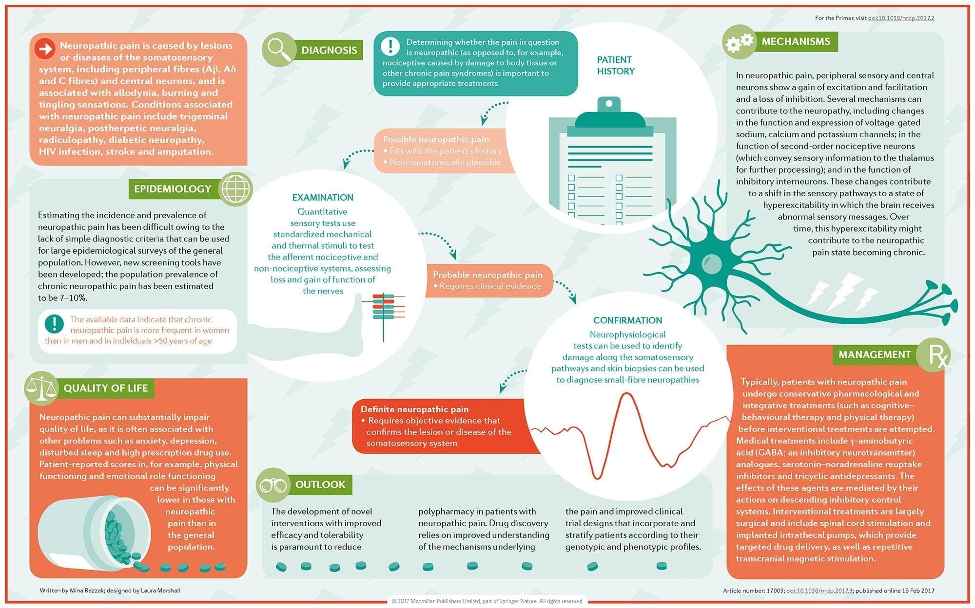 Neuropathic Pain Diagram | El Paso, TX Chiropractor