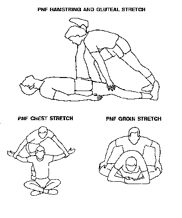 PNF Diagram 1 | El Paso, TX Chiropractor