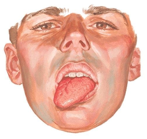 Testing Cranial Nerve XII | El Paso, TX Chiropractor