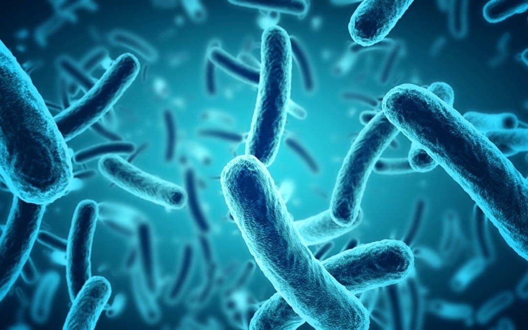 The Role Of The Microbiome In DNA Methylation | El Paso, TX Chiropractor