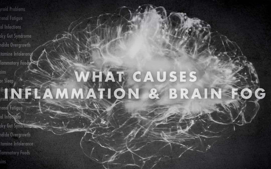 Functional Neurology: What Causes Inflammation and Brain Fog?