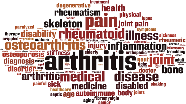 The Mechanisms of Autoimmune Diseases