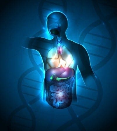Functional Endocrinology: Understanding Hormones From the Pituitary to the Receptor Sites