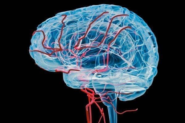 Functional Neurology: 8 Steps to Improve a Leaky Blood-Brain Barrier