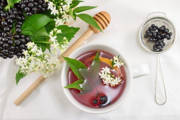 Why The Immune System Needs Elderberry