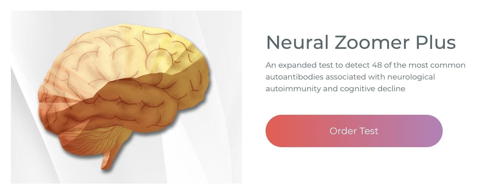 Neural Zoomer Plus | El Paso, TX Chiropractor