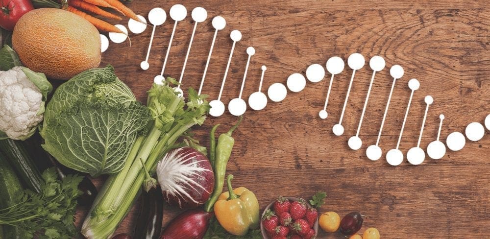 Nutrigenomics and Traits Between Generations