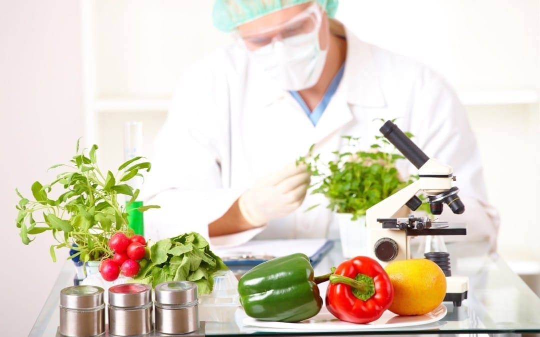 The Connection Between Nutrition & the Epigenome