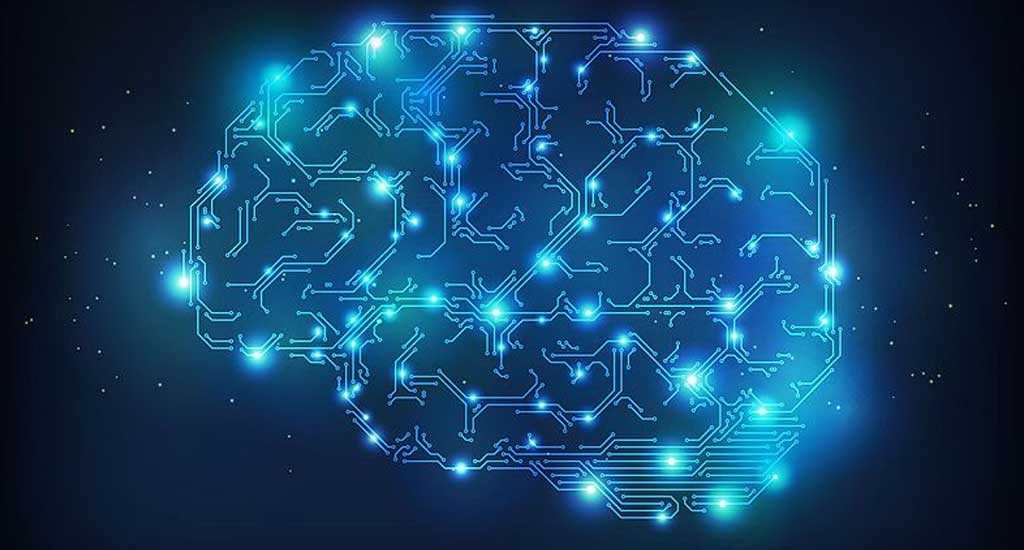 The Link Between Neuroinflammation & Neurodegenerative Diseases