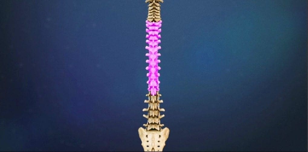 Chiropractic Treatment For Thoracic Disc Herniation