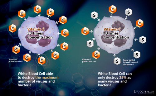White Blood Cells and Insulin Pumps - El Paso Chiropractor