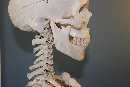 Patient Guide To Bone Growth Stimulation