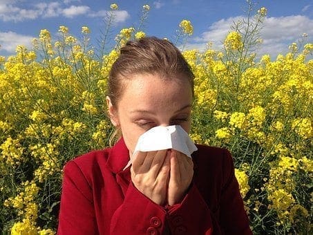 Chiropractic May Improve Allergy Symptoms