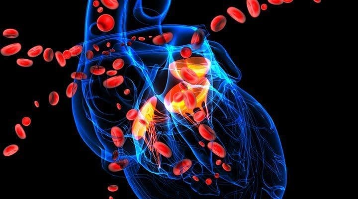 Common Leading Causes Behind Hypertension | Wellness Clinic
