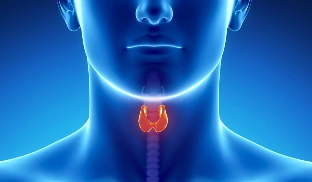 Complications of Hypothyroidism | Wellness Clinic