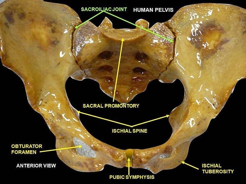 sacroiliac joint dysfunction el paso tx.