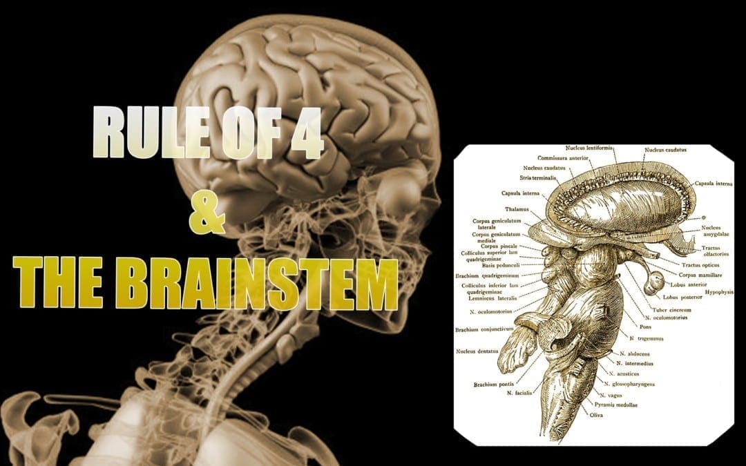 Brainstem And The Rule Of 4 | El Paso, TX.