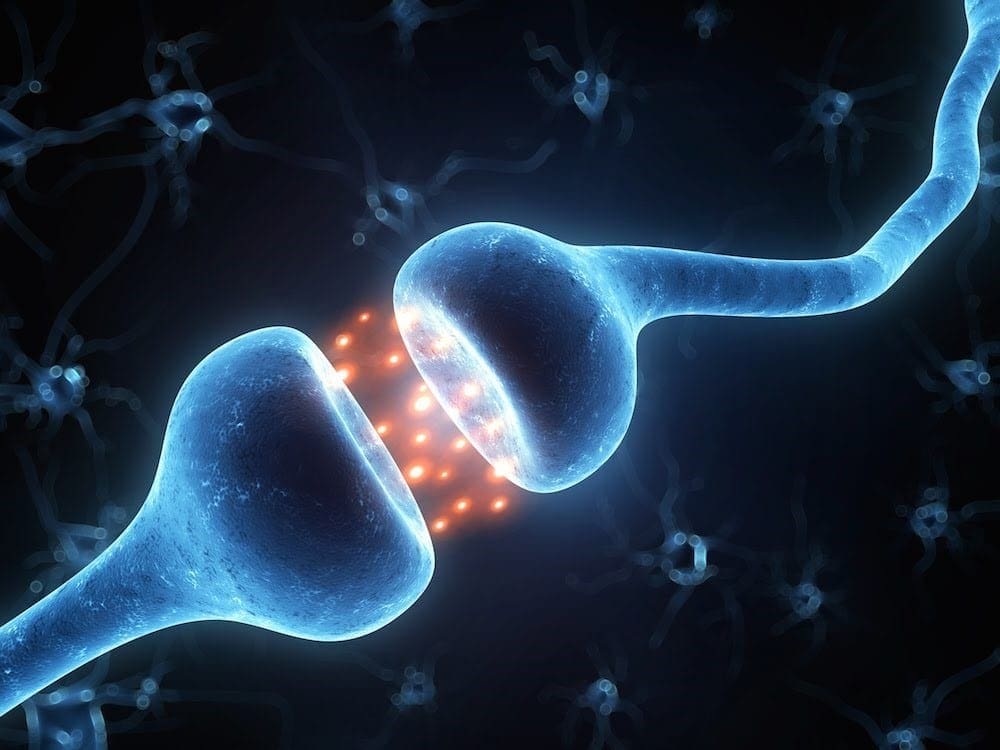 Endocannabinoid System | El Paso, TX Chiropractor