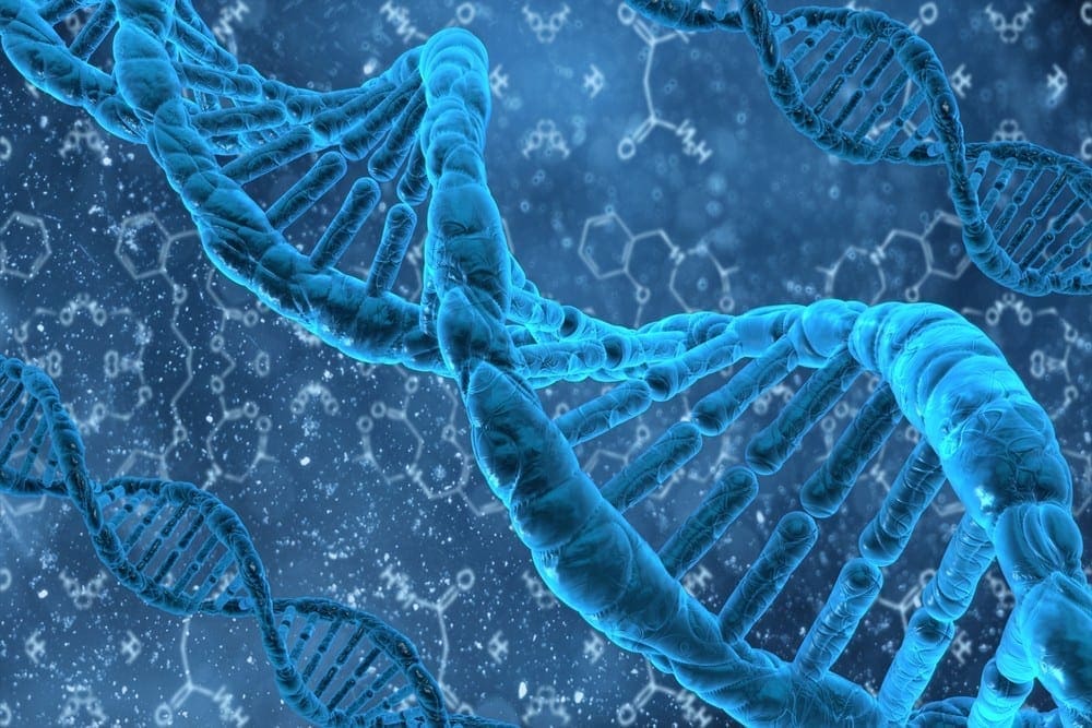 DNA Methylation Plasticity