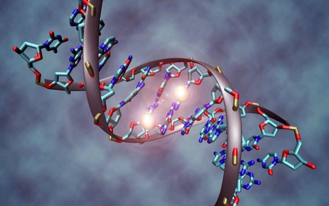 Methylation Support For Inflammation And Oxidative Stress