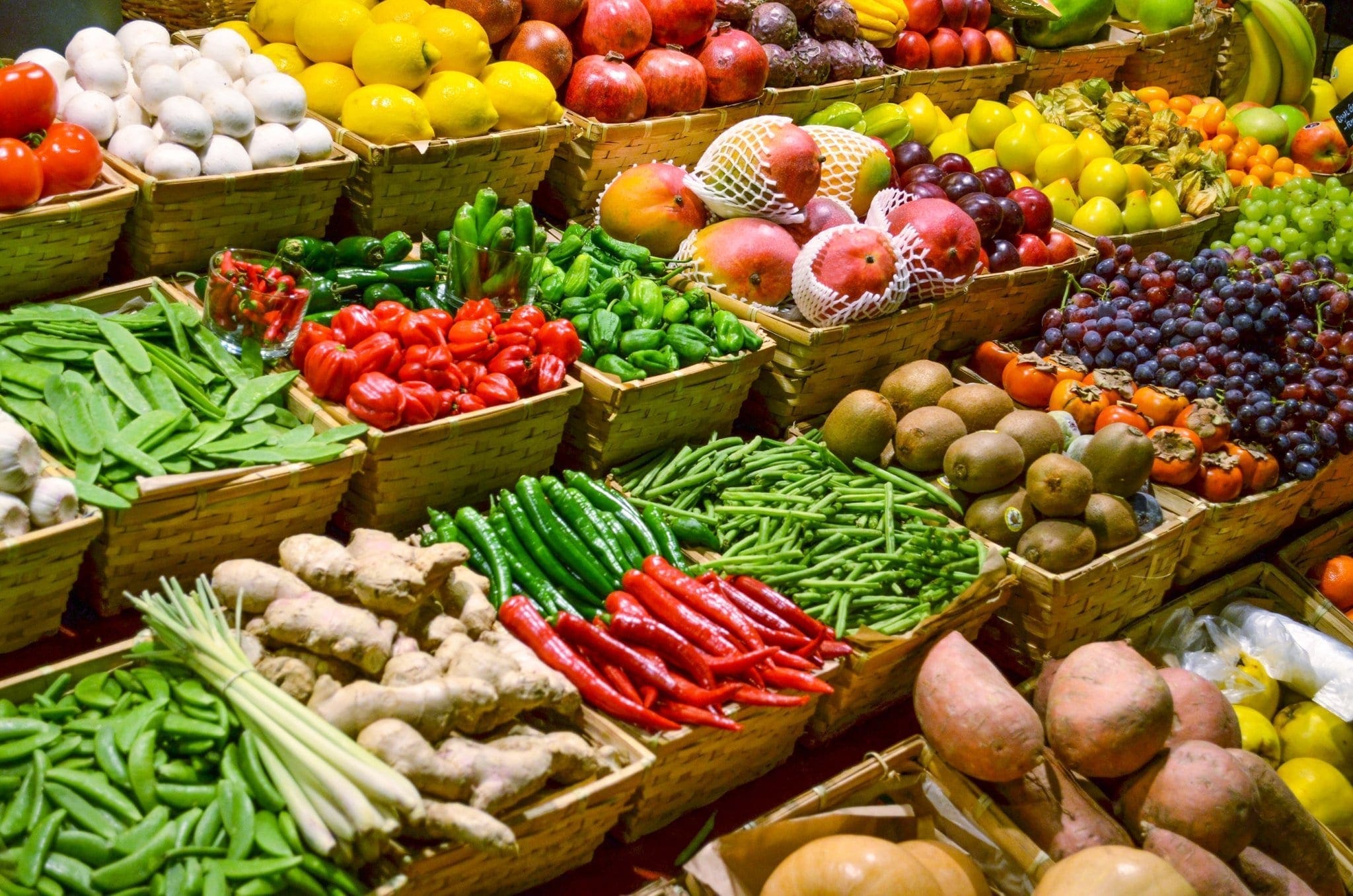 Seasonal Nutrition Spine Recovery and Your Health