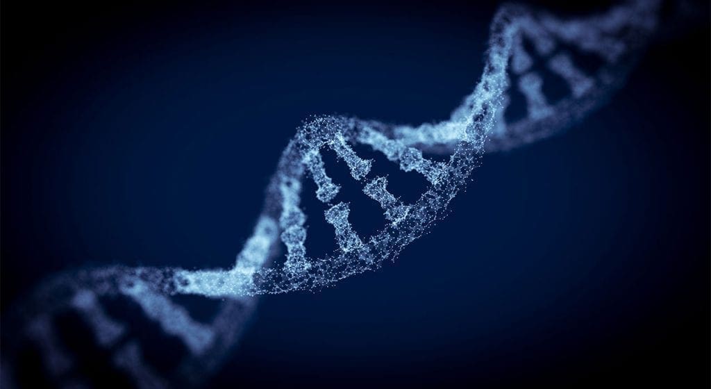 Activating the Nrf2 Cell Defense Through Food El Paso, Texas