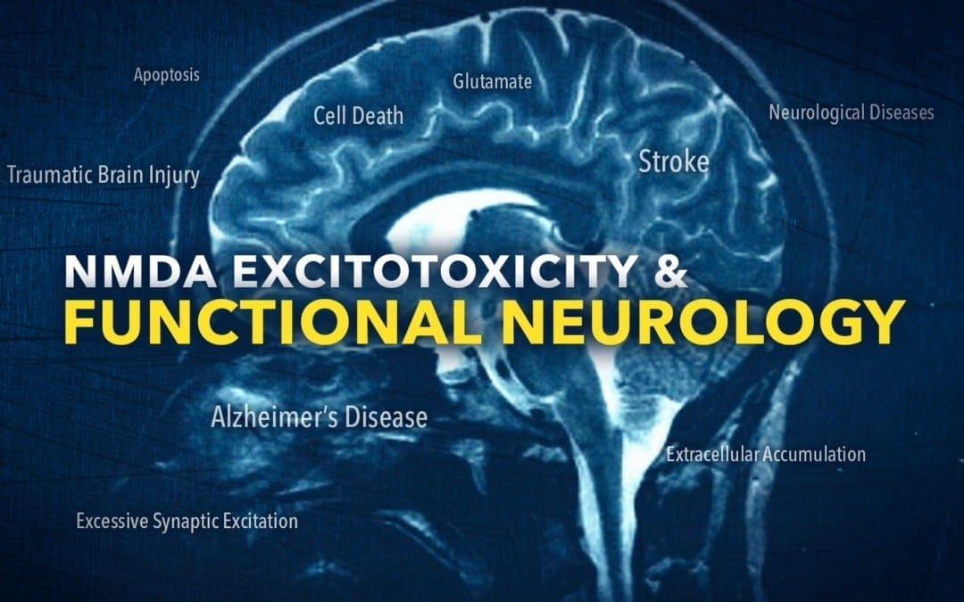 NMDA Excitotoxicity in Functional Neurology