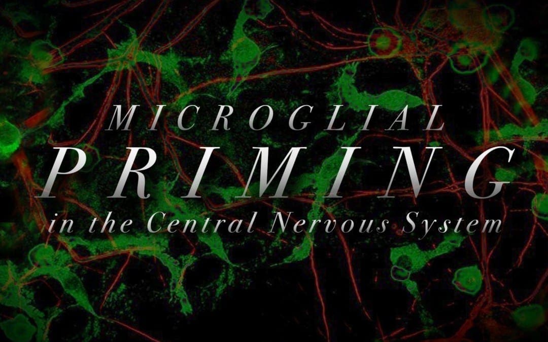 Microglial Priming in the Central Nervous System
