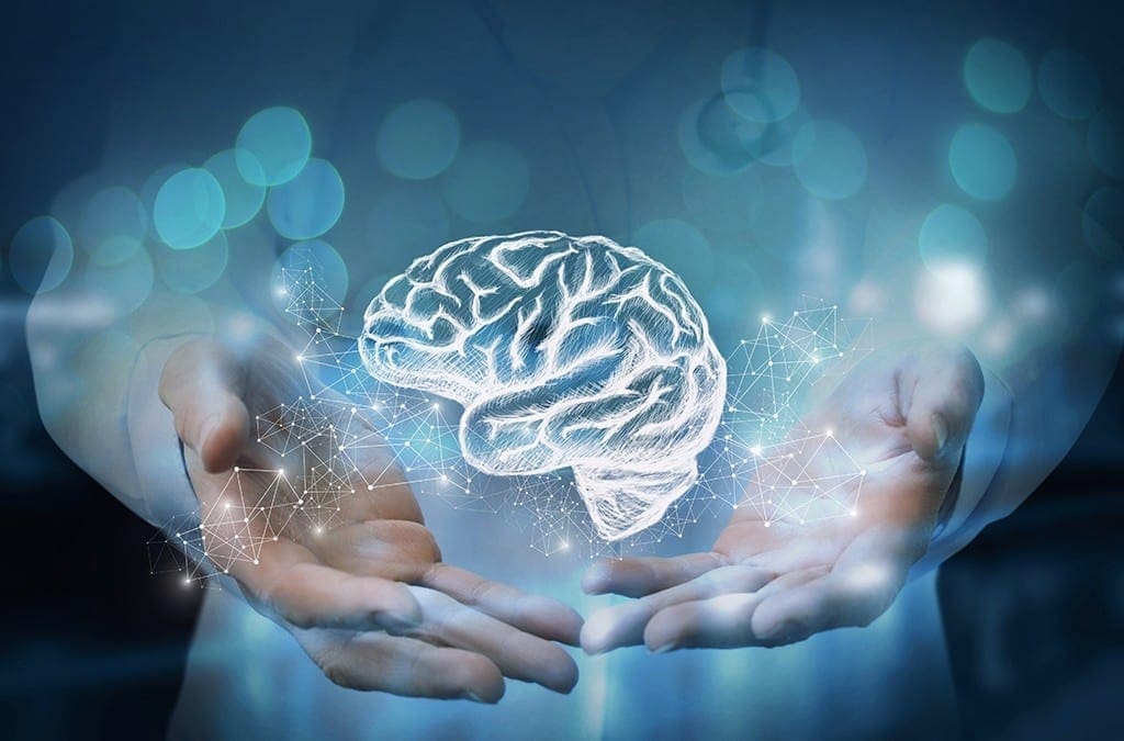 Functional Neurology: How to Naturally Improve Brain Fog