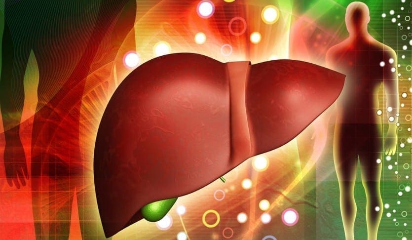Functional Endocrinology: Hepatic Biotransformation & Hormone Balance