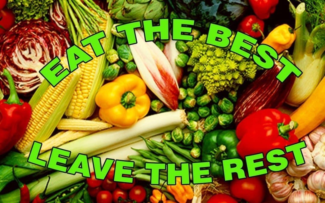 The Best Diet For Pain Relief