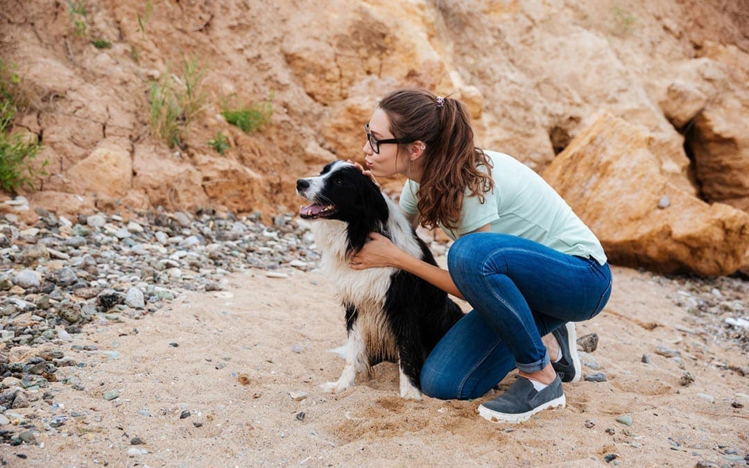 Pets Healing Power Can Be Powerful Medicine
