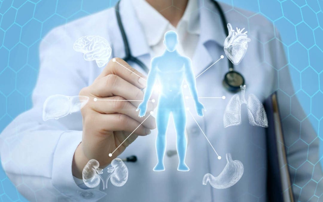 What are the Main Detoxification Systems?