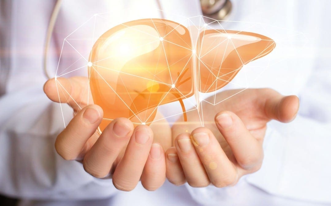 What are the Phases of Liver Detoxification?