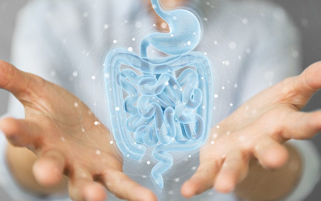 Photobiomics and Gut Health: Part 2 | El Paso, TX (2021)