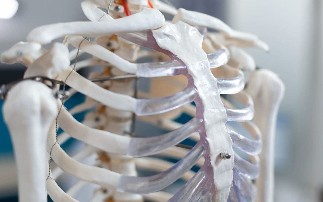 Rib Misalignment, Dysfunction, and Pain: Chiropractic Clinic