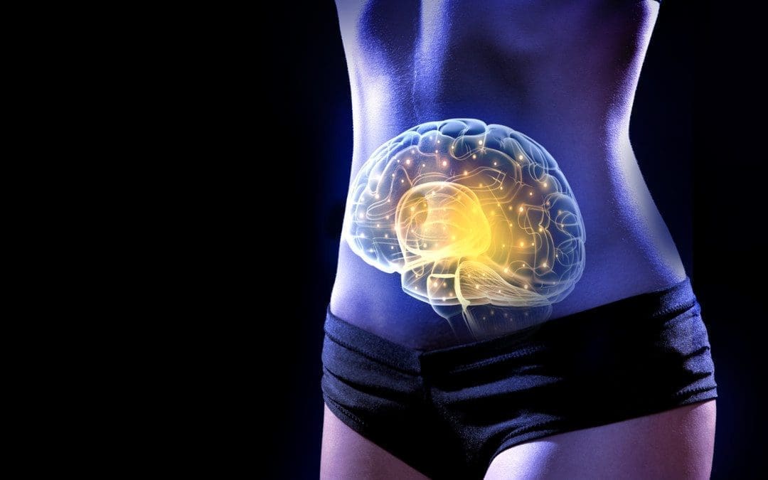 The Gut-Brain Axis Affected By Somatovisceral Pain