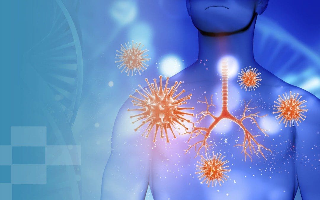 immune-system.jpg