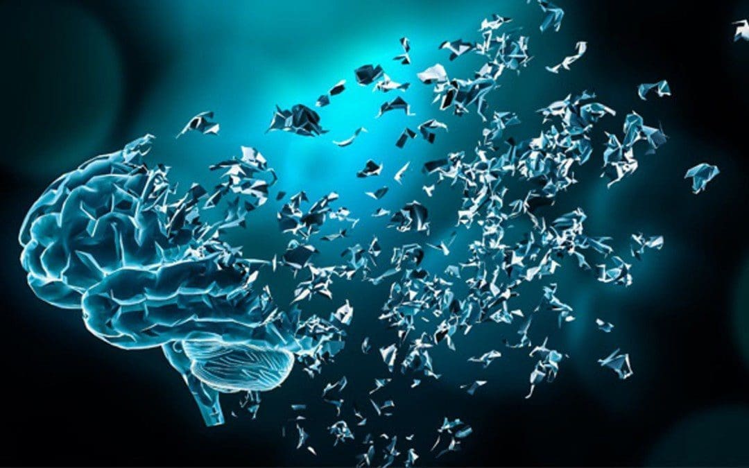 Combating Neurodegeneration In The Body