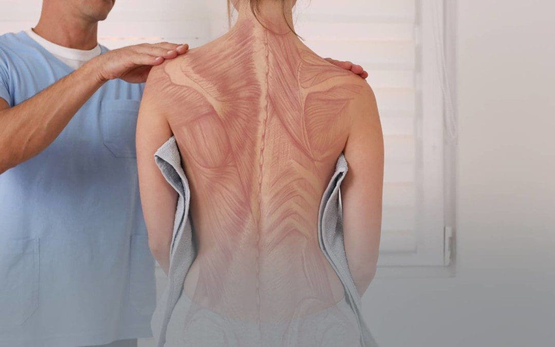 Tips On Maintaining Good Posture Using The MET Technique